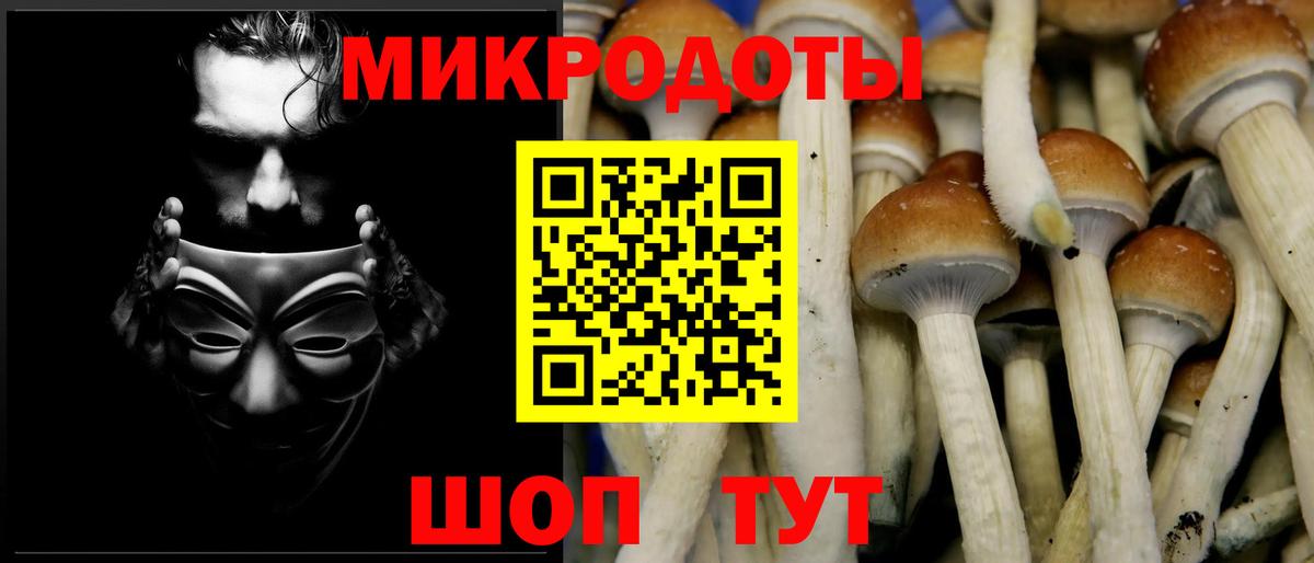 Галлюциногенные грибы MAGIC MUSHROOMS  Вход с VPN  Ивантеевка 